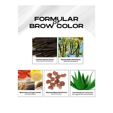 Brow Color #Ash Brown ( 6 Applications )